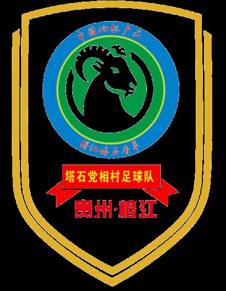 党相村足球队